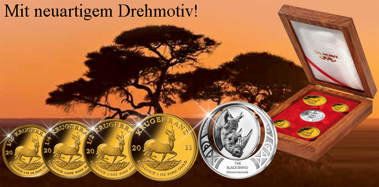 Der Krügerrand-Premium-Satz 2011